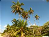 Grande Beach - VIEQUES